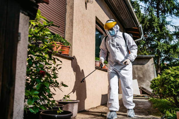 Best Rat Extermination Near Me  in Cottonport, LA