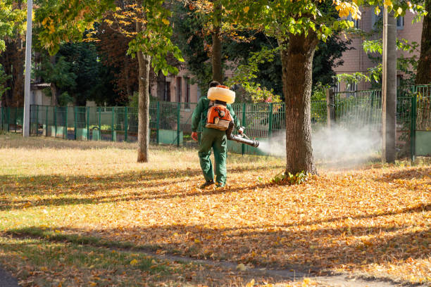 Best Flea Control Services  in Cottonport, LA