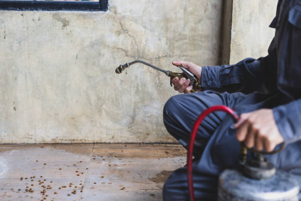 Best Exterminator Services  in Cottonport, LA
