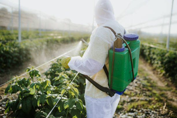  Cottonport, LA Pest Control Pros